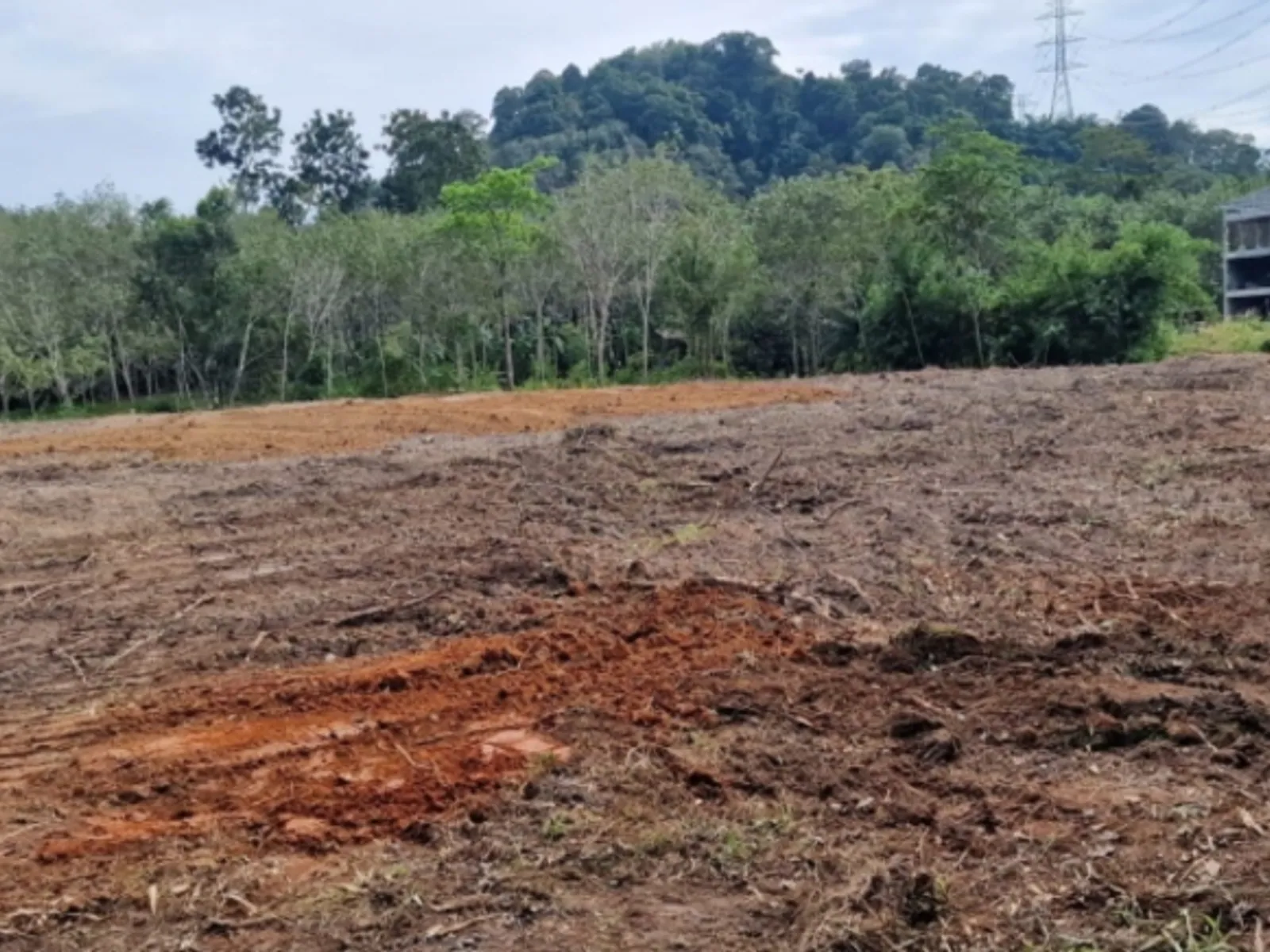4,000 sqm Freehold Land Near UWC School, Thalang - Thalang, Phuket - Photo 1