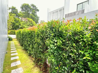 Larimae Villa, 4-Bedroom Pool Villa for Rent, Chalong - Chalong, Phuket - Photo 4