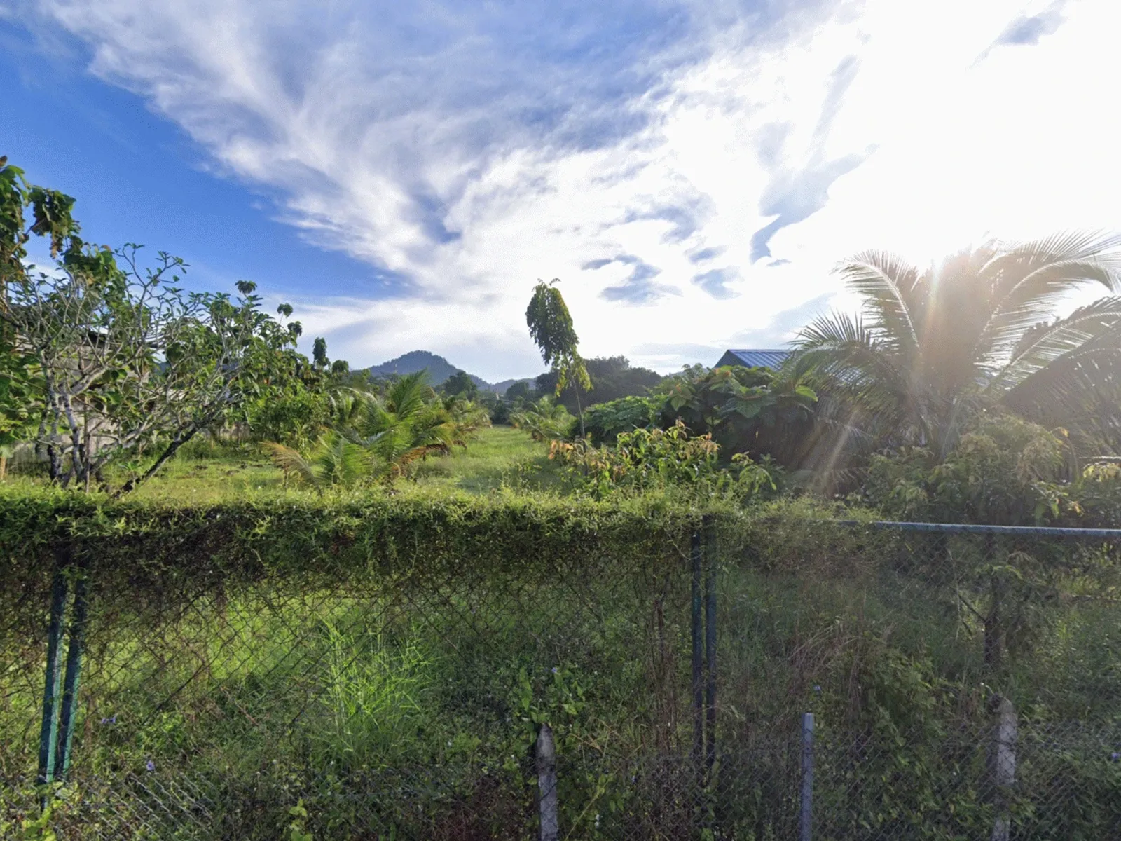 3,640 sqm Land Plot, Dual Road Access, Ban Pon, Thalang - Thalang, Phuket - Photo 7