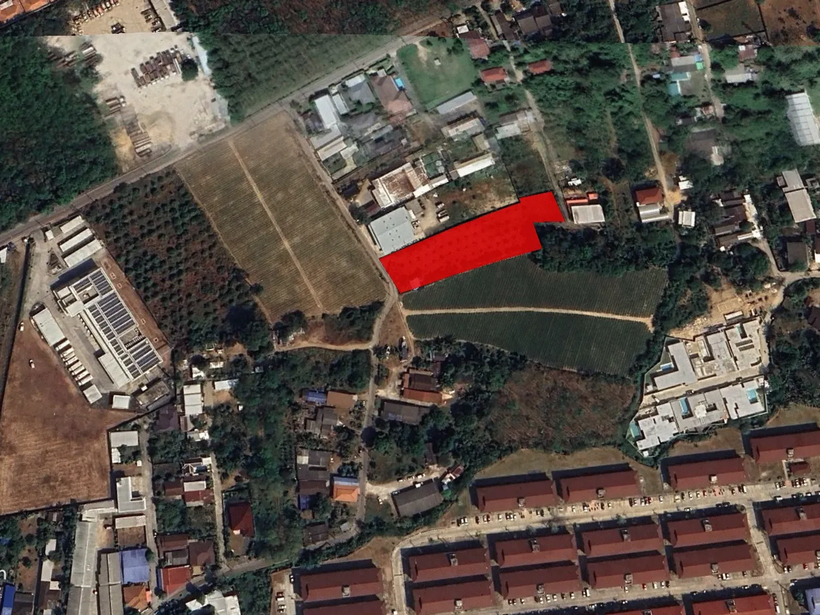 3,640 sqm Land Plot, Dual Road Access, Ban Pon, Thalang - Thalang, Phuket - Photo 11
