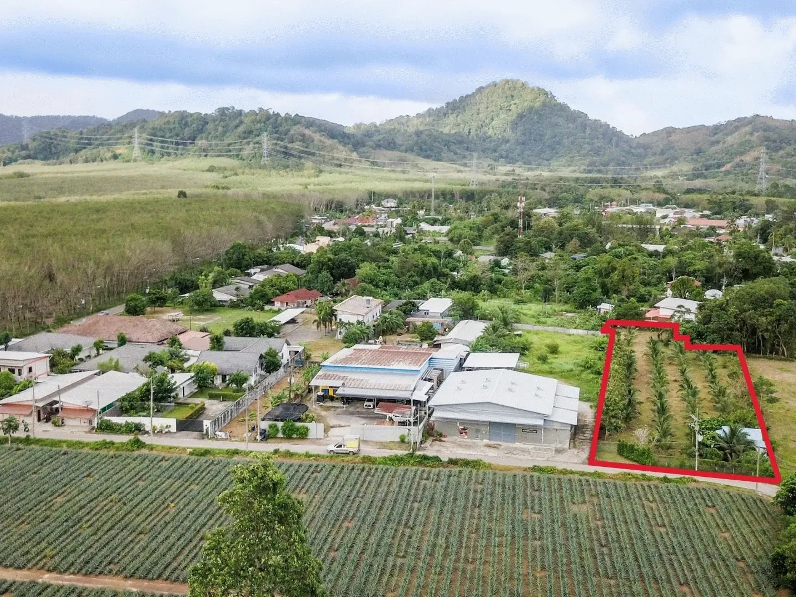 3,640 sqm Land Plot, Dual Road Access, Ban Pon, Thalang - Thalang, Phuket - Photo 4