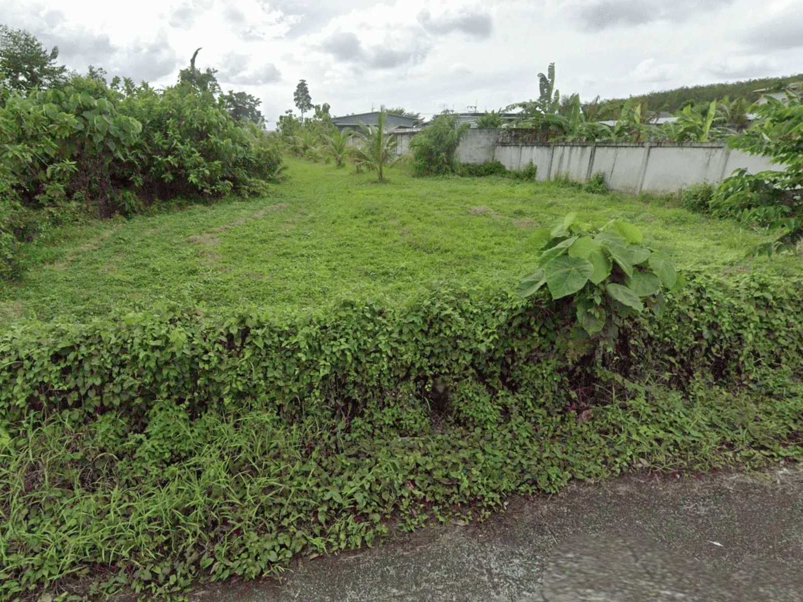 3,640 sqm Land Plot, Dual Road Access, Ban Pon, Thalang - Thalang, Phuket - Photo 8