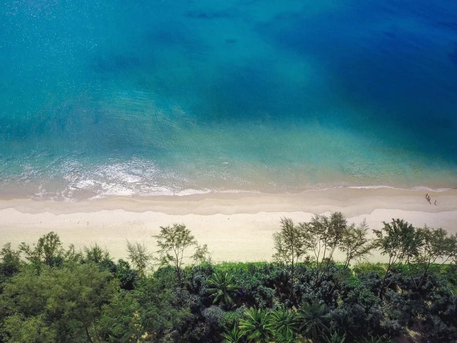 1,464 sqm Beachfront Land for Sale, Natai Beach, Phang Nga - Natai, Phuket - Photo 4