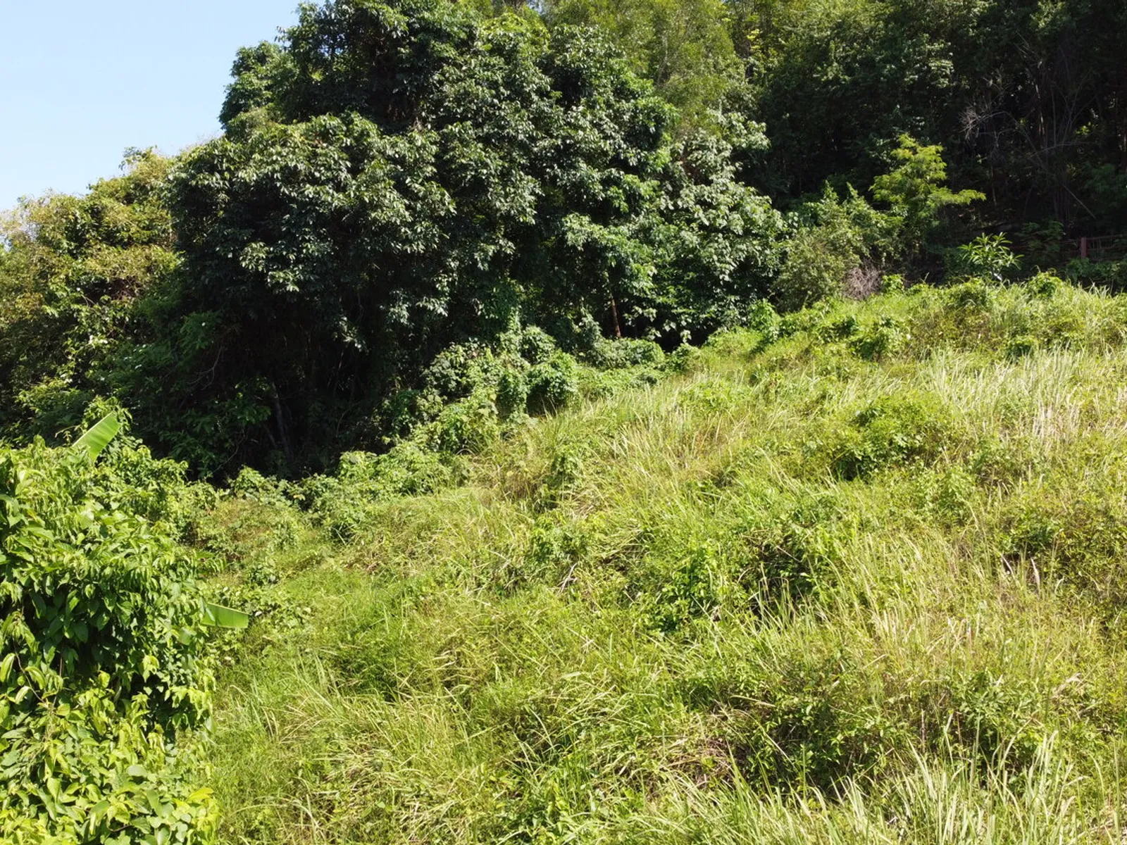 2,404 sqm Sea View Land, Mission Hills, Freehold - Mission Hill, Phuket - Photo 21