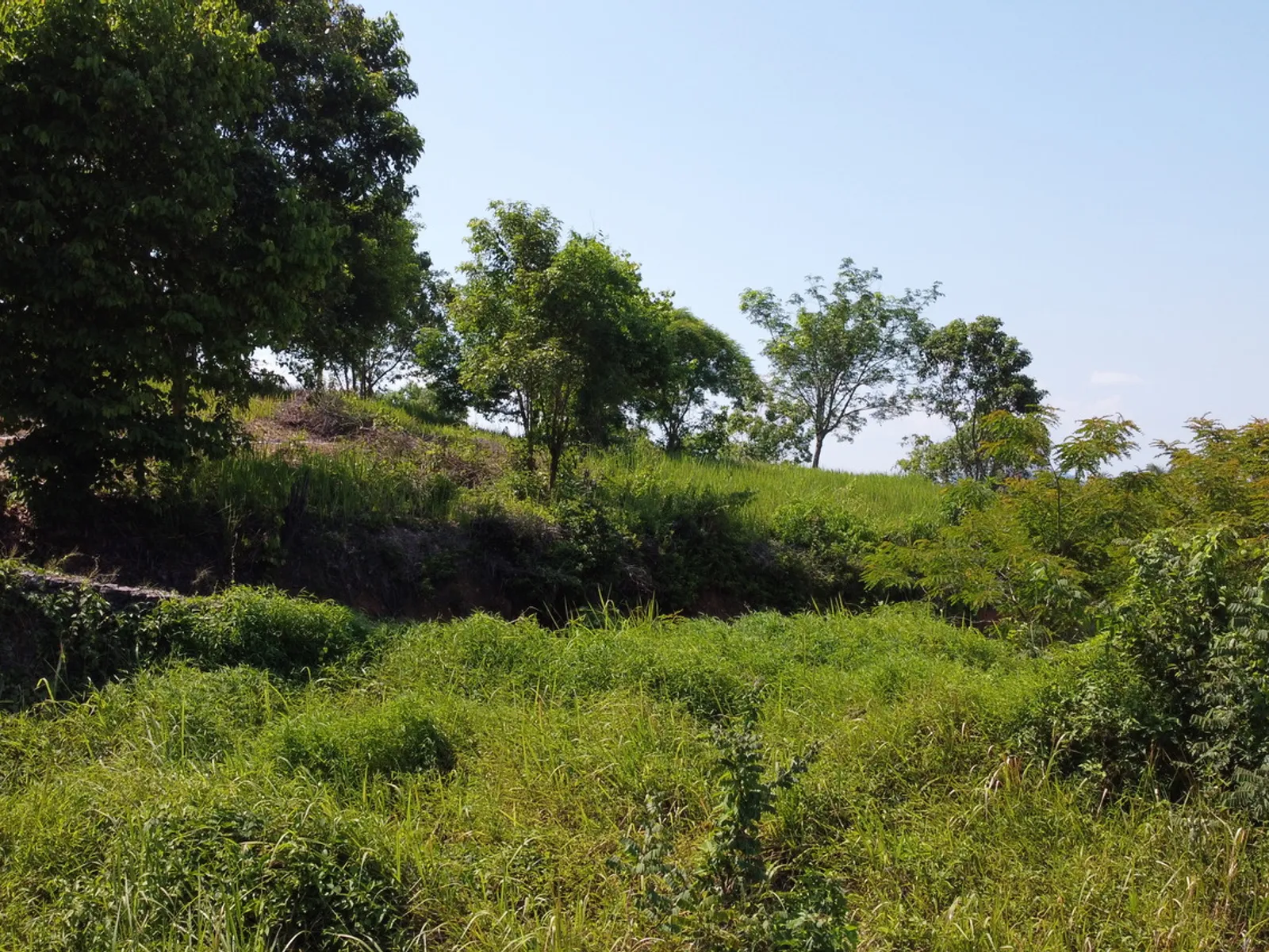 2,404 sqm Sea View Land, Mission Hills, Freehold - Mission Hill, Phuket - Photo 24