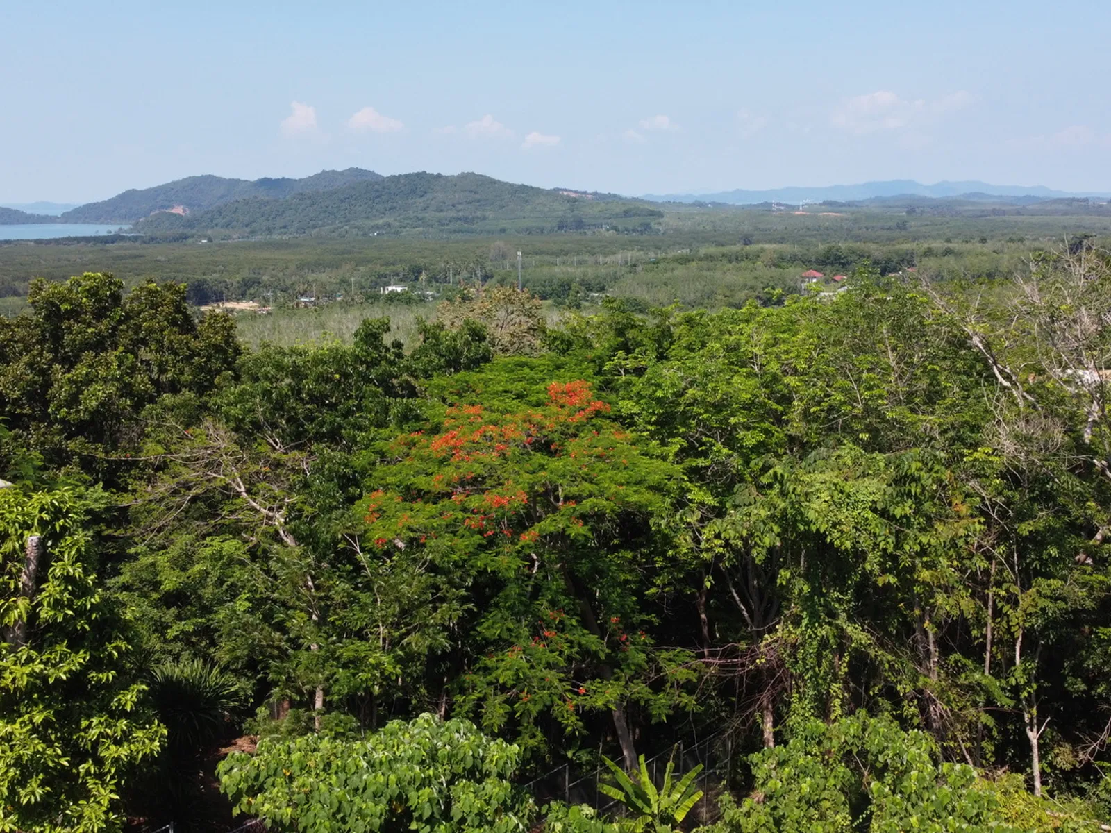 2,404 sqm Sea View Land, Mission Hills, Freehold - Mission Hill, Phuket - Photo 19