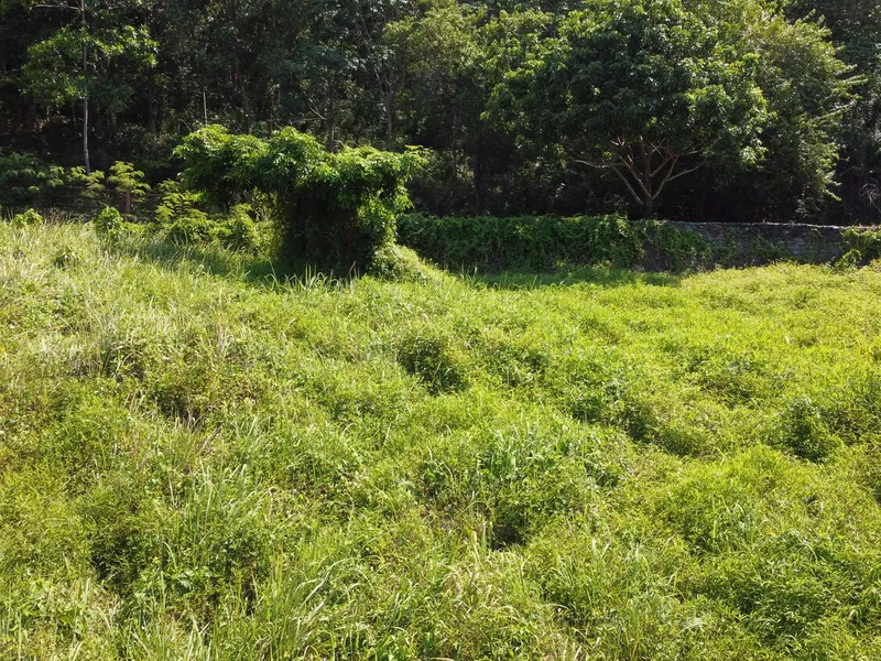2,404 sqm Sea View Land, Mission Hills, Freehold - Mission Hill, Phuket - Main photo