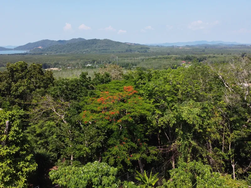 2,404 sqm Sea View Land, Mission Hills, Freehold - Mission Hill, Phuket - Main photo