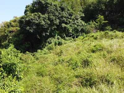 2,404 sqm Sea View Land, Mission Hills, Freehold - Mission Hill, Phuket - Photo 21