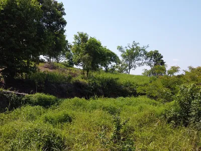 2,404 sqm Sea View Land, Mission Hills, Freehold - Mission Hill, Phuket - Photo 24