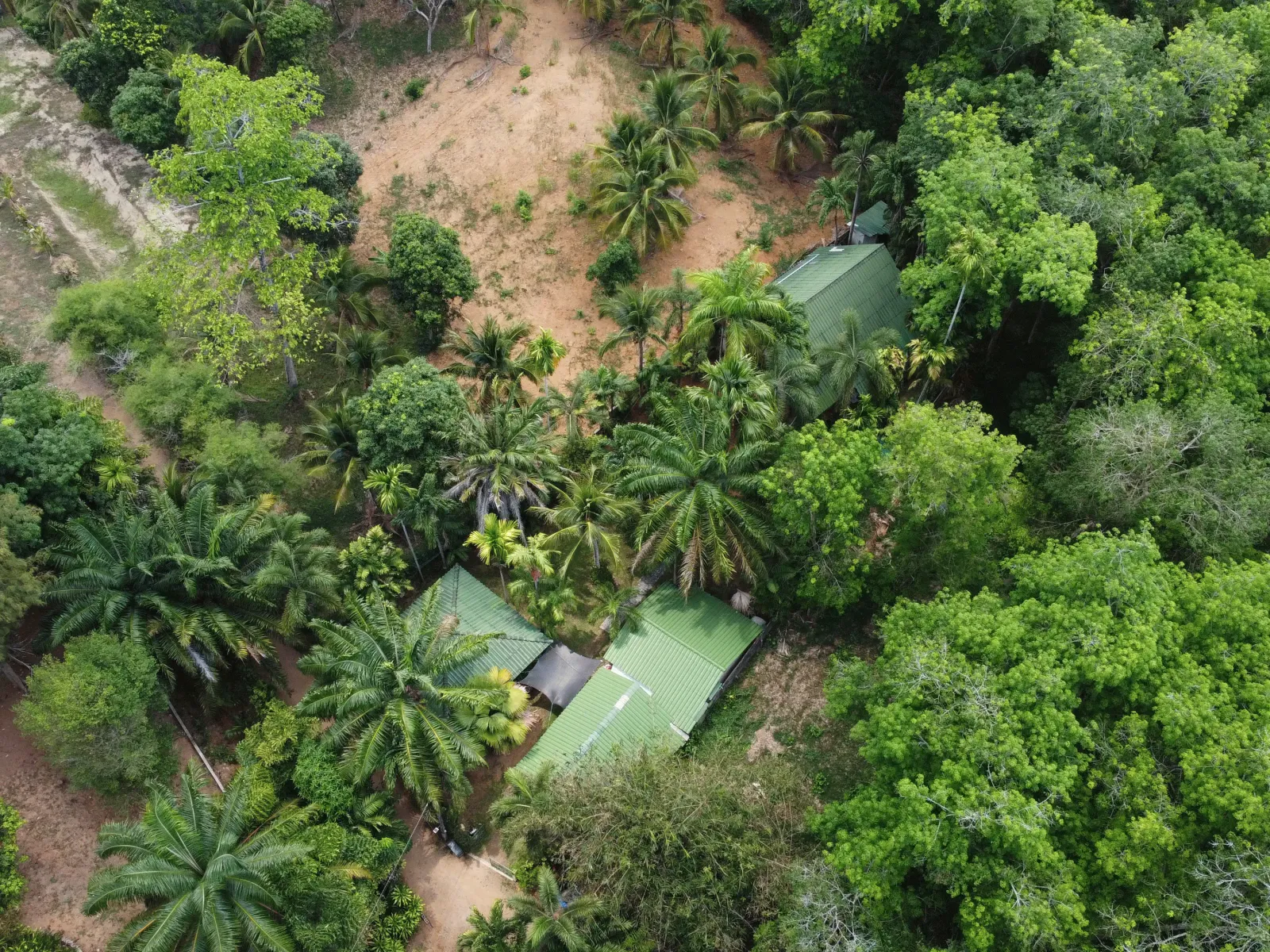 Secluded 4-Bedroom Property on 800 sqm, Rawai, Freehold - Rawai, Phuket - Photo 14