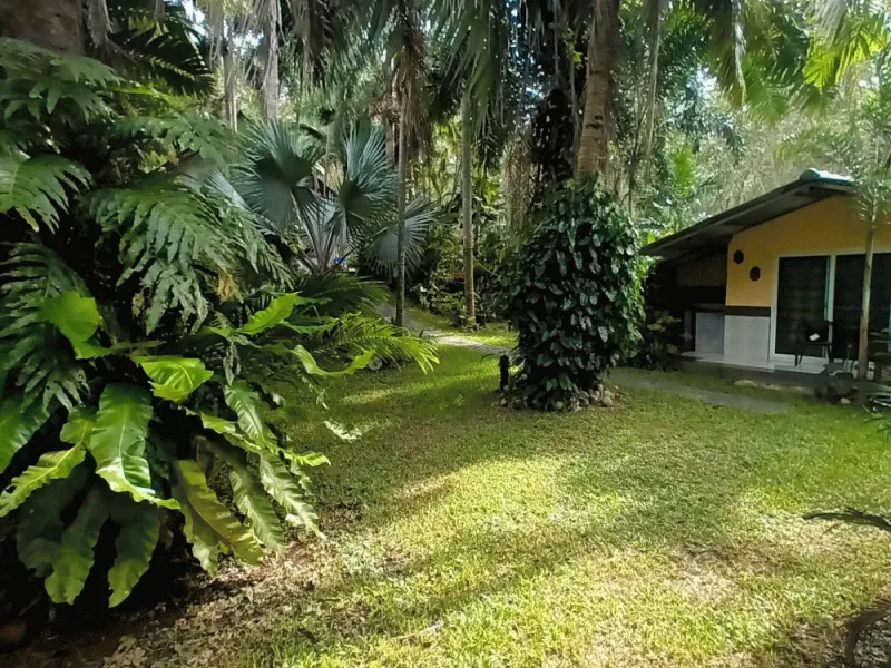 Secluded 4-Bedroom Property on 800 sqm, Rawai, Freehold - Rawai, Phuket - Main photo