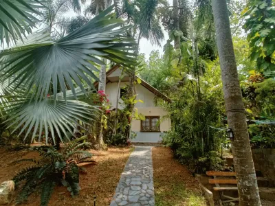 Secluded 4-Bedroom Property on 800 sqm, Rawai, Freehold - Rawai, Phuket - See all photos
