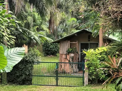 Secluded 4-Bedroom Property on 800 sqm, Rawai, Freehold - Rawai, Phuket - Photo 6