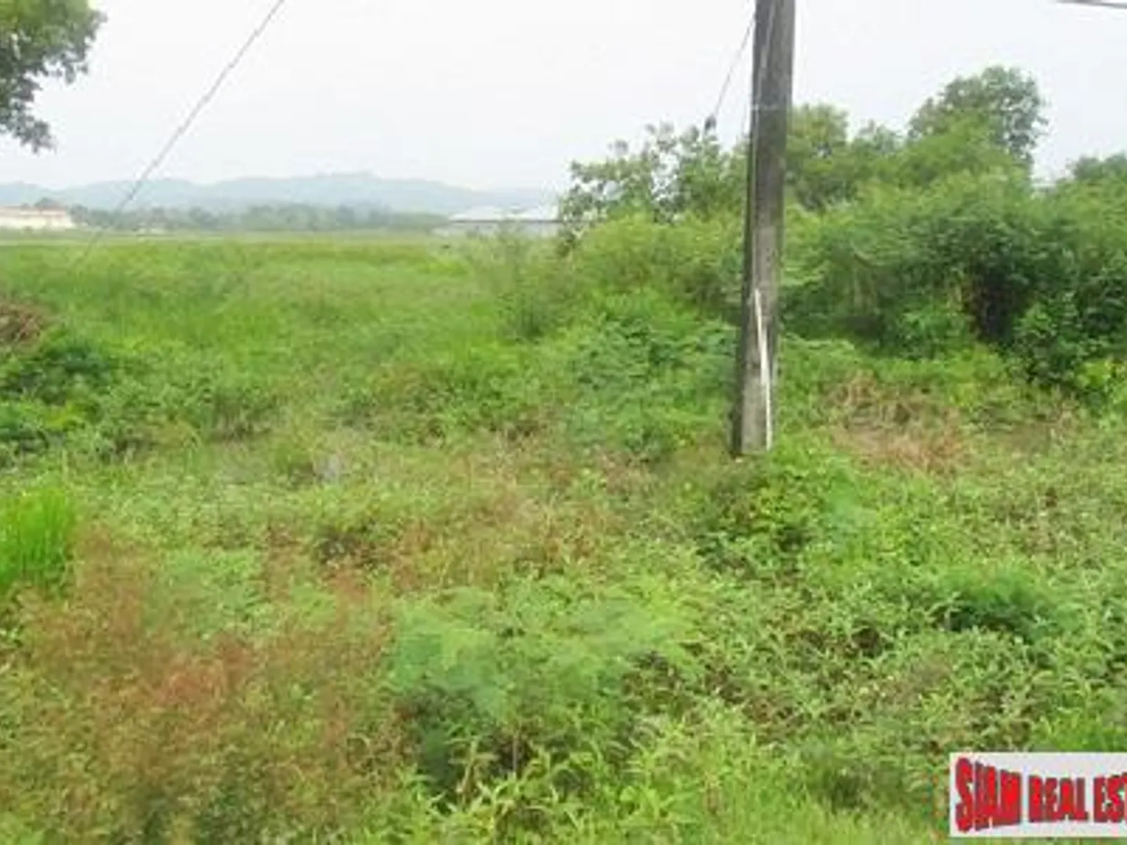 11,796 sqm Flat Land for Sale, Baan Don, Cherng Talay, Freehold - Cherng Talay, Phuket - Photo 7