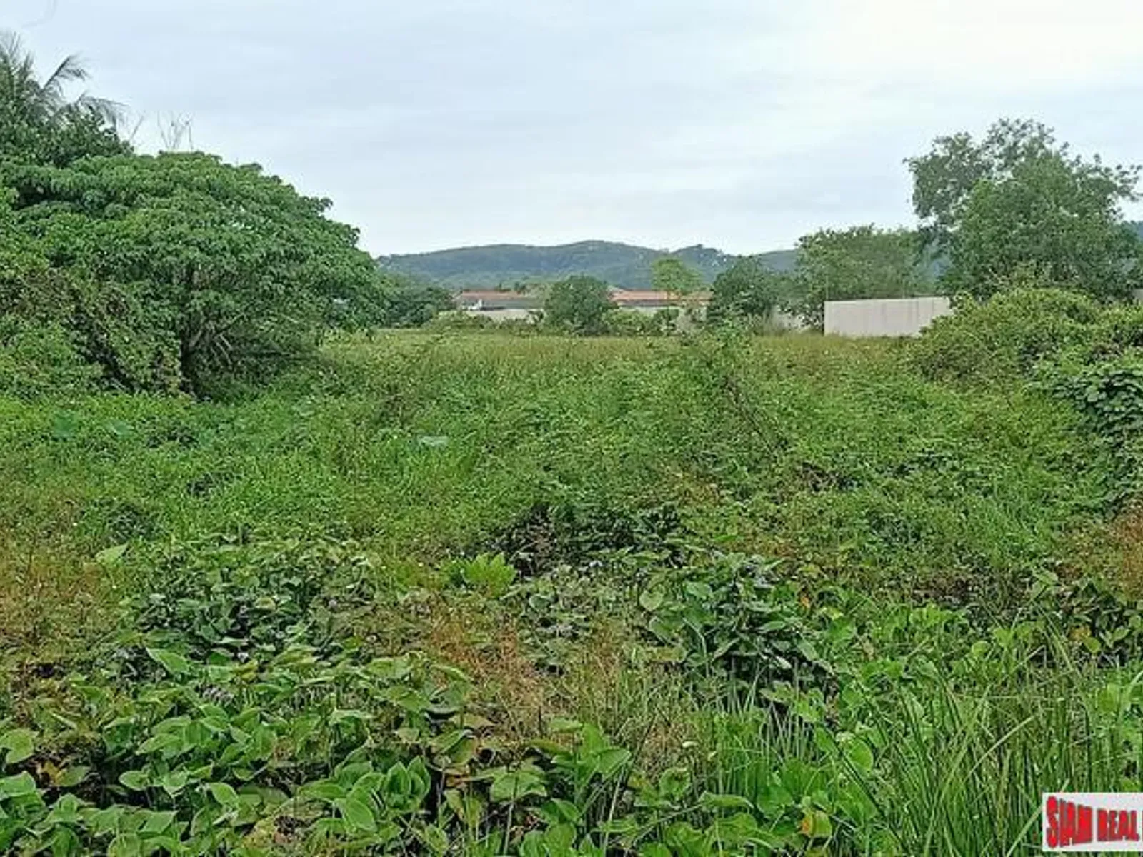 11,796 sqm Flat Land for Sale, Baan Don, Cherng Talay, Freehold - Cherng Talay, Phuket - Photo 4