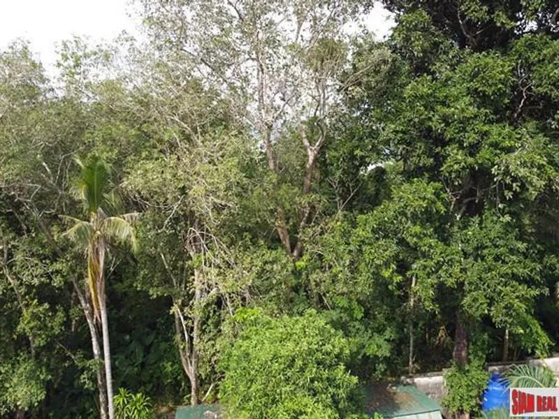 4,590 sqm Land with Pool House for Sale, Rawai, 10 Min Walk to Beach, Freehold - Rawai, Phuket - Main photo