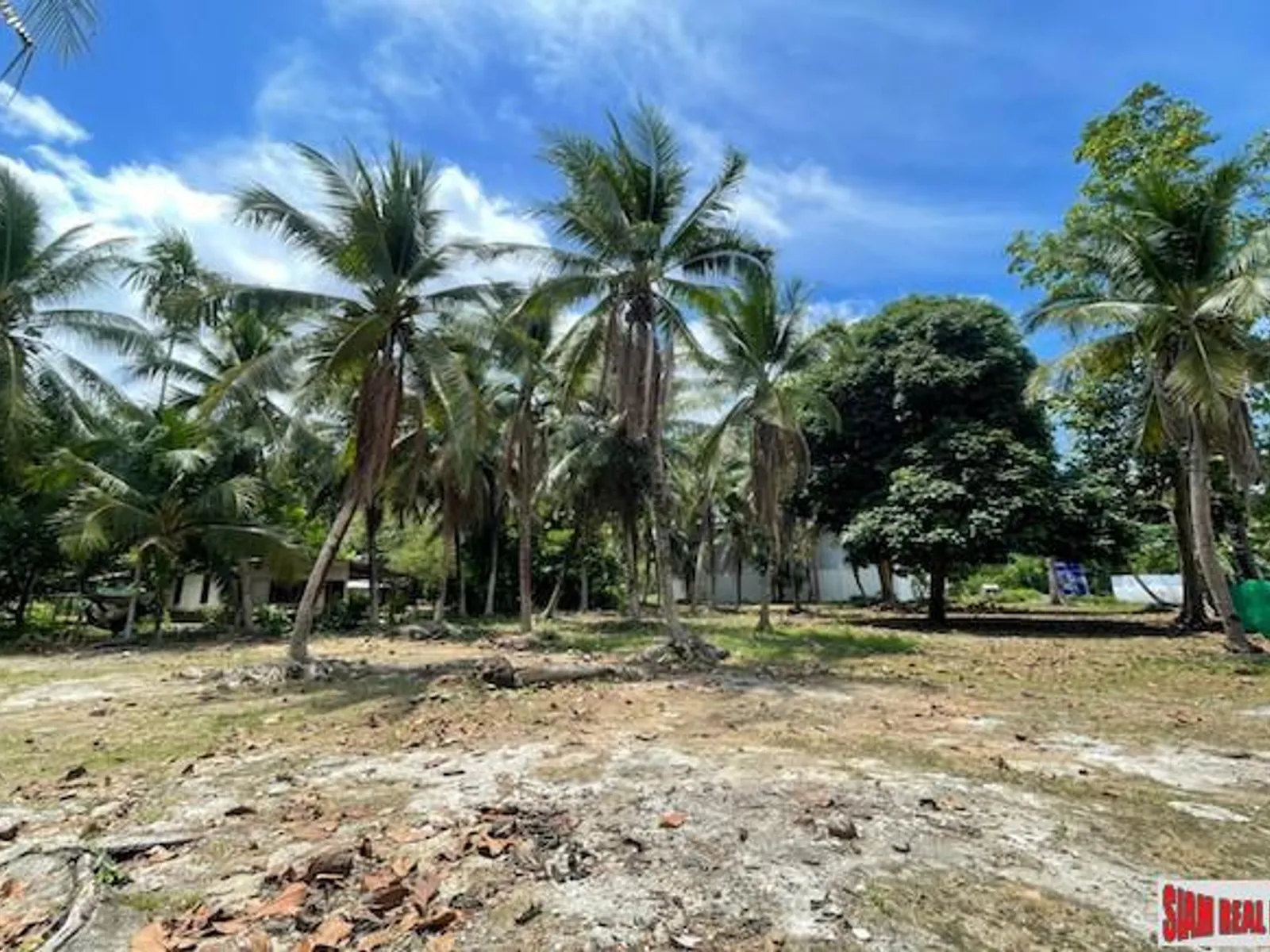 24,000 sqm Mountain View Land for Sale, Pa Klok, 15 Rai, Freehold - Pa Klok, Phuket - Photo 10