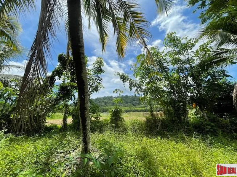 24,000 sqm Mountain View Land for Sale, Pa Klok, 15 Rai, Freehold - Pa Klok, Phuket - Main photo