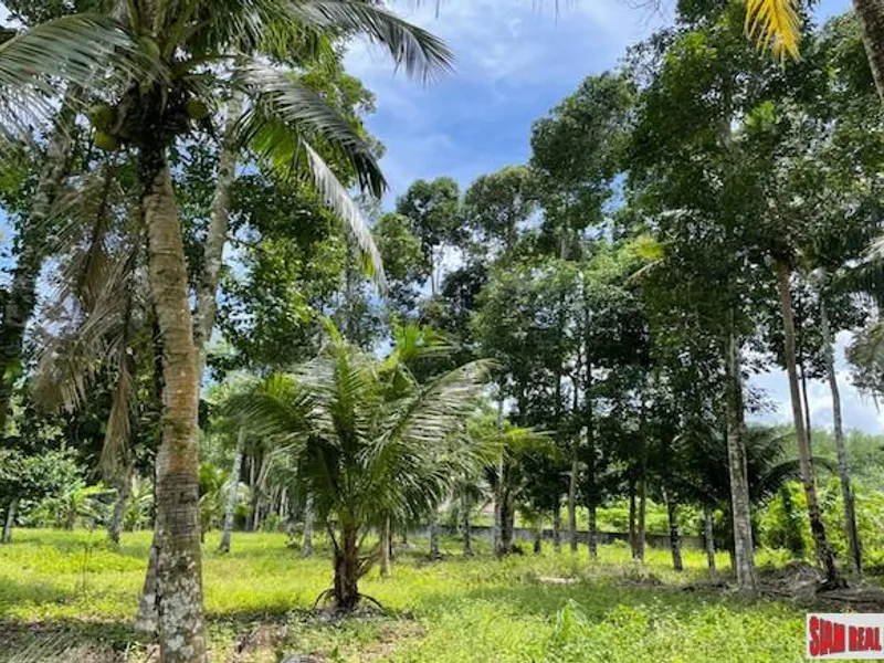 24,000 sqm Mountain View Land for Sale, Pa Klok, 15 Rai, Freehold - Pa Klok, Phuket - Main photo