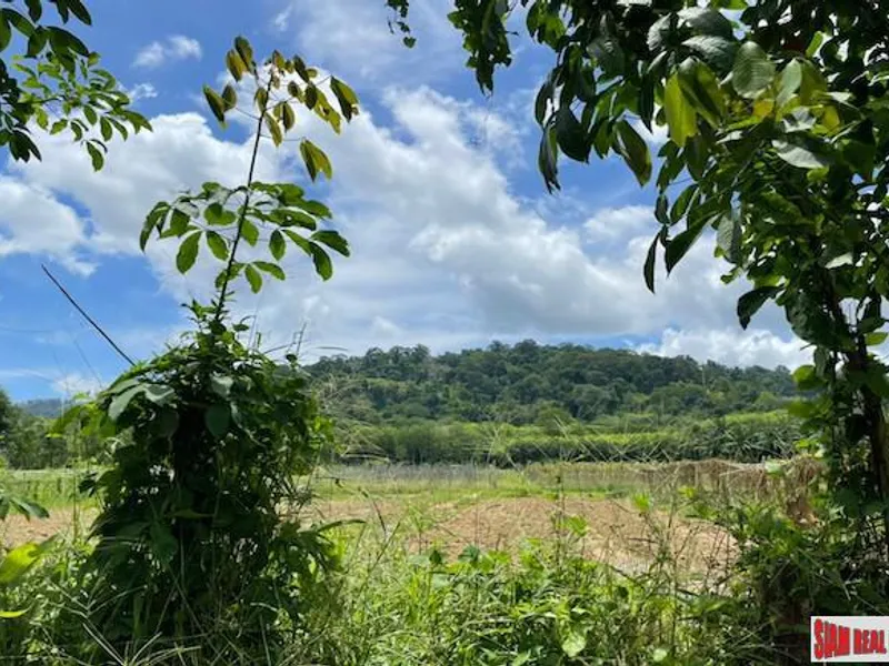 24,000 sqm Mountain View Land for Sale, Pa Klok, 15 Rai, Freehold - Pa Klok, Phuket - Main photo