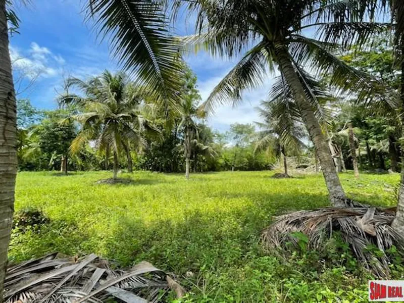 24,000 sqm Mountain View Land for Sale, Pa Klok, 15 Rai, Freehold - Pa Klok, Phuket - Main photo