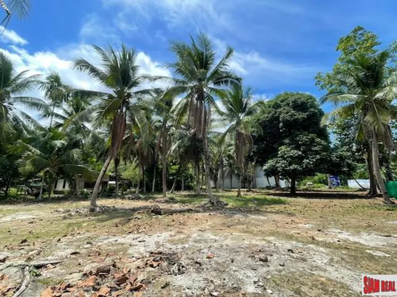 24,000 sqm Mountain View Land for Sale, Pa Klok, 15 Rai, Freehold - Pa Klok, Phuket - Main photo