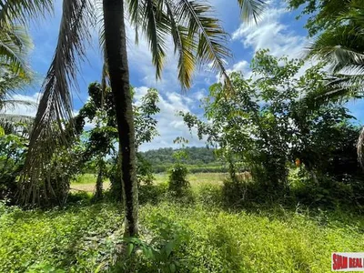 24,000 sqm Mountain View Land for Sale, Pa Klok, 15 Rai, Freehold - Pa Klok, Phuket - Photo 13
