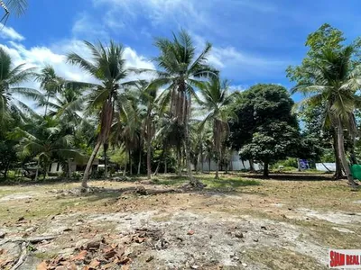 24,000 sqm Mountain View Land for Sale, Pa Klok, 15 Rai, Freehold - Pa Klok, Phuket - Photo 10