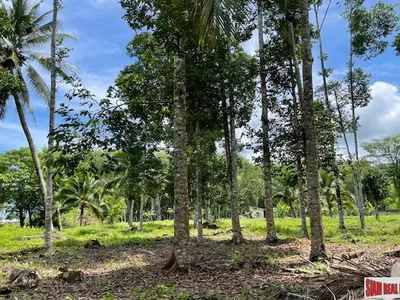 24,000 sqm Mountain View Land for Sale, Pa Klok, 15 Rai, Freehold - Pa Klok, Phuket - Photo 11