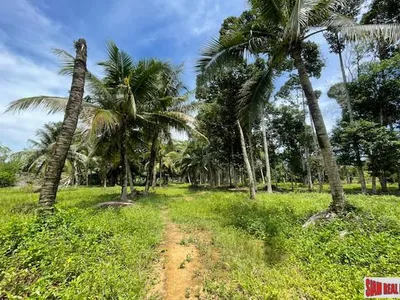 24,000 sqm Mountain View Land for Sale, Pa Klok, 15 Rai, Freehold - Pa Klok, Phuket - Photo 6