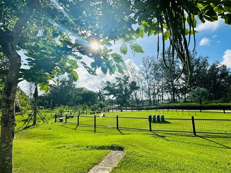 Laguna Sky Park, Studio vue golf à louer - Laguna, Phuket - Photo principale