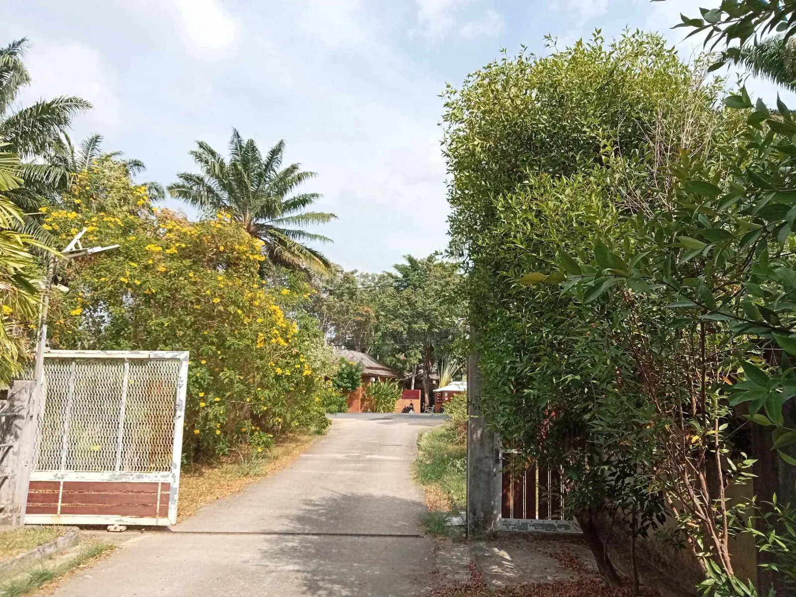 2-Bedroom House for Rent, Pasak, Cherng Talay - Cherng Talay, Phuket - Photo 15