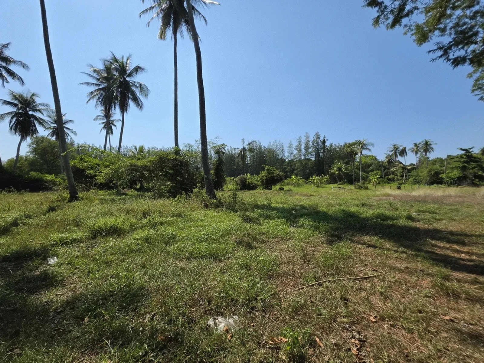 3.6 Rai Land, 100m Walk to Beach, Mai Khao, Freehold - Mai Khao, Phuket - Photo 15