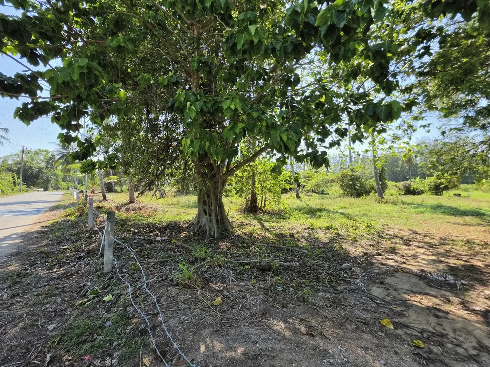3.6 Rai Land, 100m Walk to Beach, Mai Khao, Freehold - Mai Khao, Phuket - Photo 19
