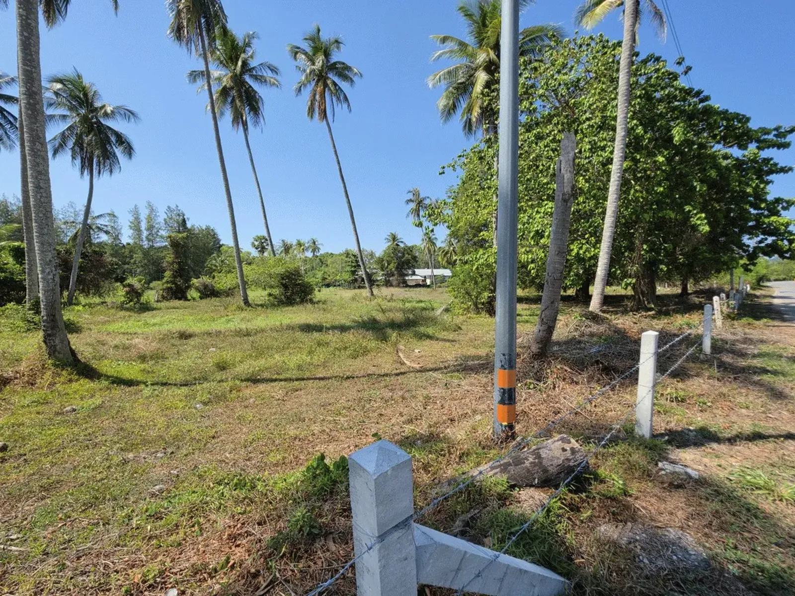 3.6 Rai Land, 100m Walk to Beach, Mai Khao, Freehold - Mai Khao, Phuket - Photo 25
