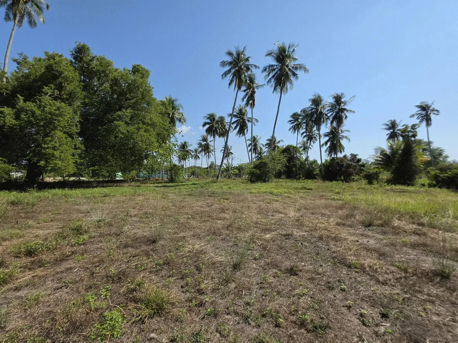 3.6 Rai Land, 100m Walk to Beach, Mai Khao, Freehold - Mai Khao, Phuket - Photo 8