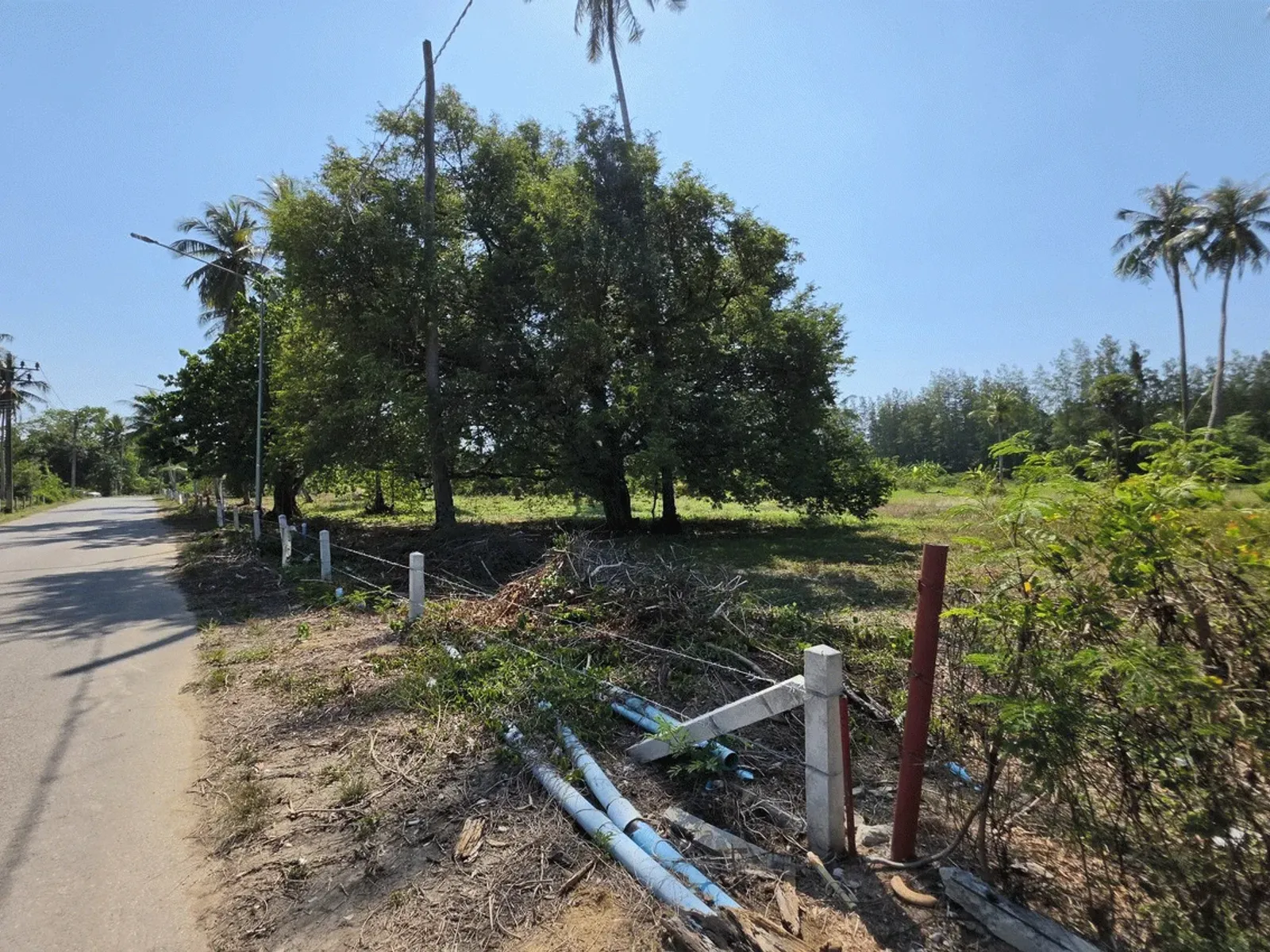 3.6 Rai Land, 100m Walk to Beach, Mai Khao, Freehold - Mai Khao, Phuket - Photo 17