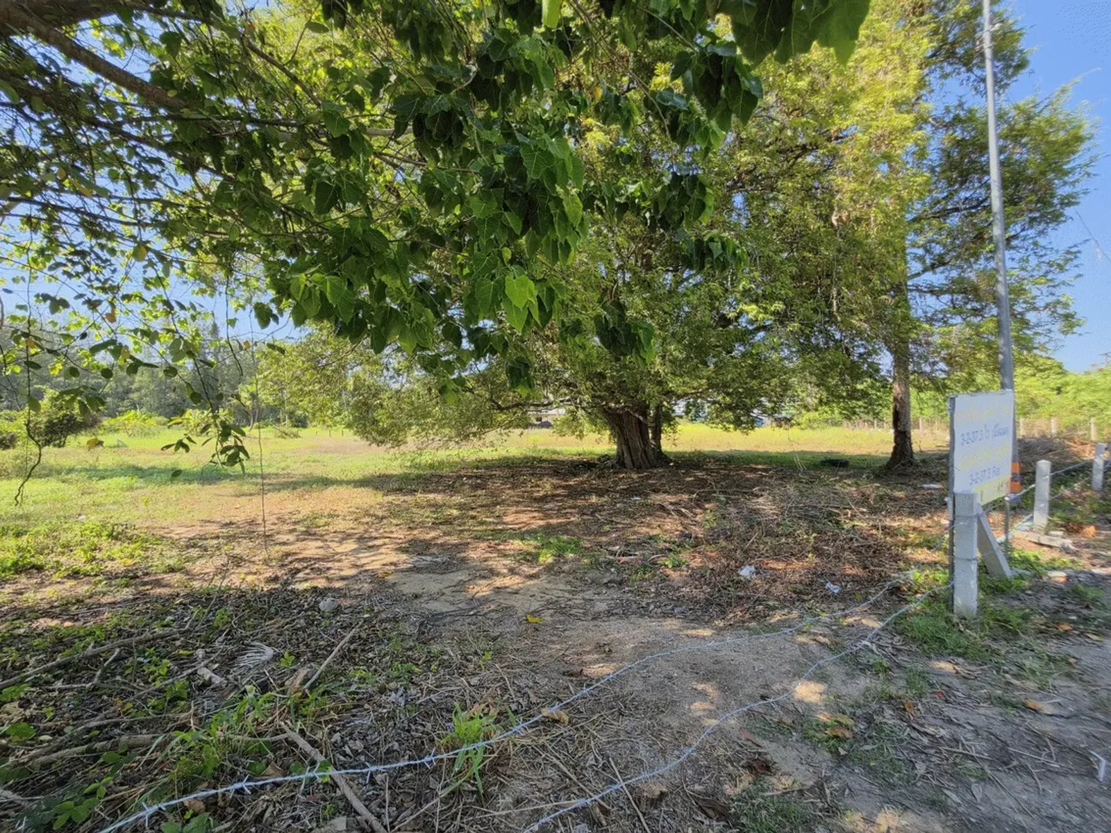 3.6 Rai Land, 100m Walk to Beach, Mai Khao, Freehold - Mai Khao, Phuket - Photo 20