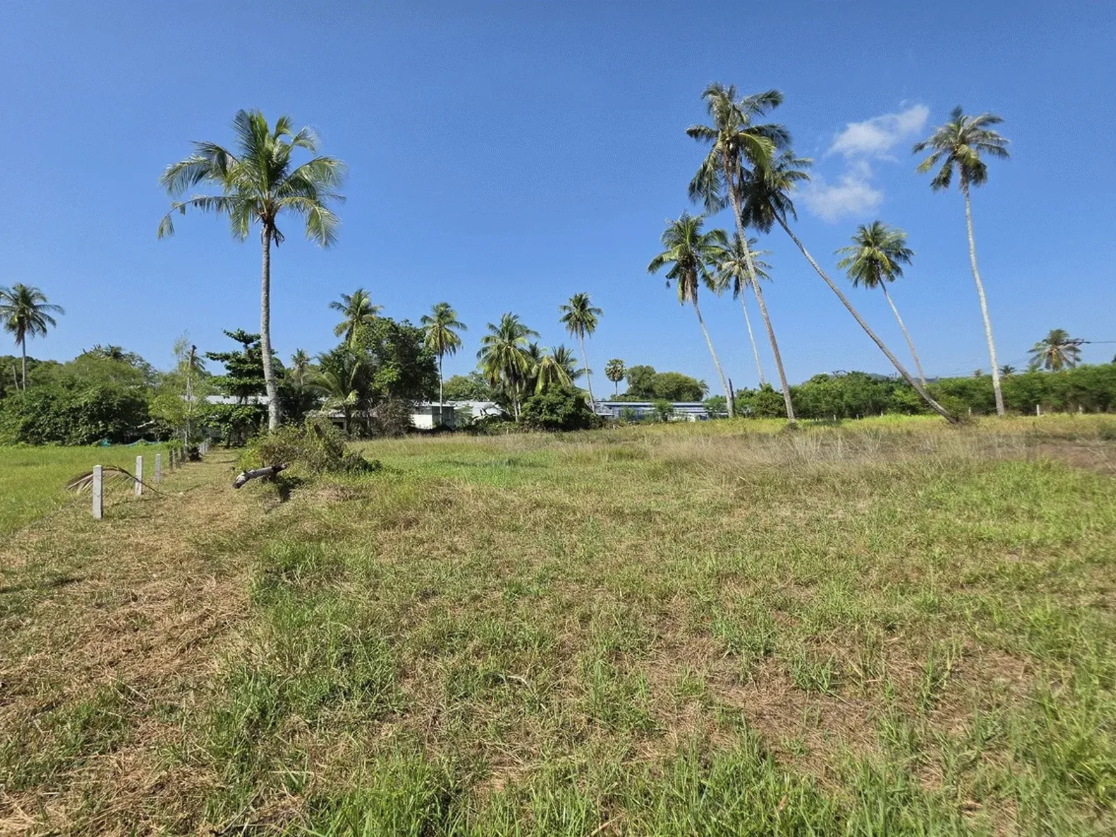 3.6 Rai Land, 100m Walk to Beach, Mai Khao, Freehold - Mai Khao, Phuket - Photo 10