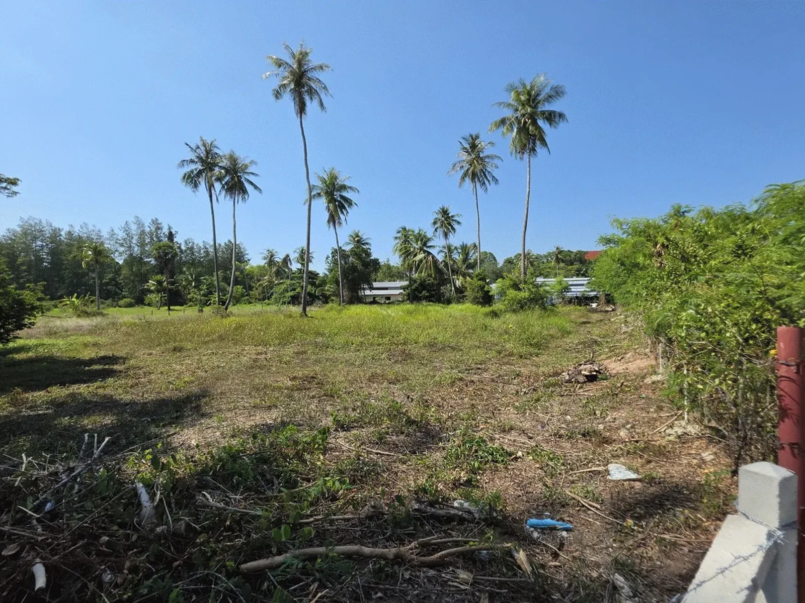 3.6 Rai Land, 100m Walk to Beach, Mai Khao, Freehold - Mai Khao, Phuket - Photo 18