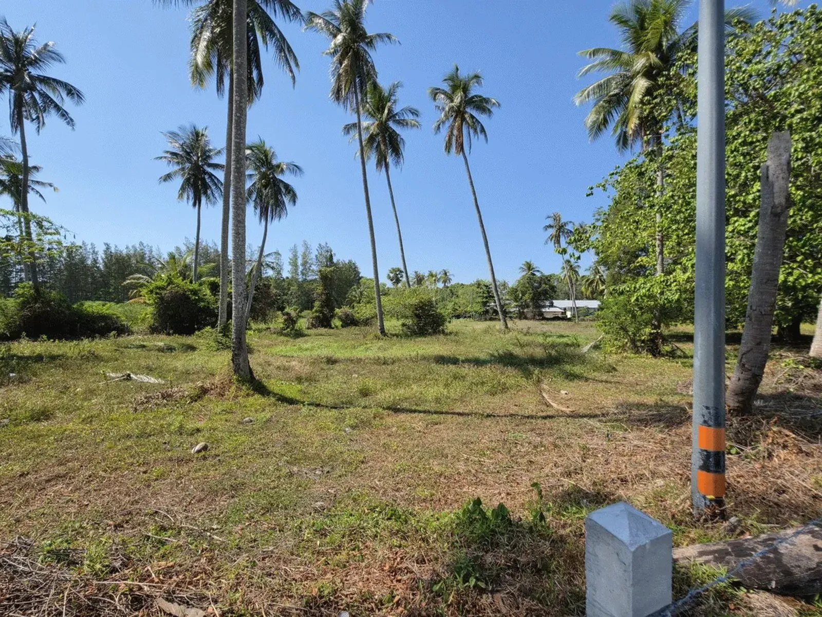 3.6 Rai Land, 100m Walk to Beach, Mai Khao, Freehold - Mai Khao, Phuket - Photo 24