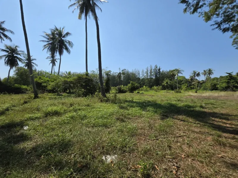 3.6 Rai Land, 100m Walk to Beach, Mai Khao, Freehold - Mai Khao, Phuket - Main photo