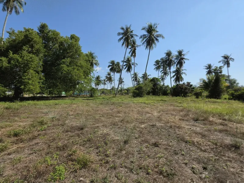 3.6 Rai Land, 100m Walk to Beach, Mai Khao, Freehold - Mai Khao, Phuket - Main photo