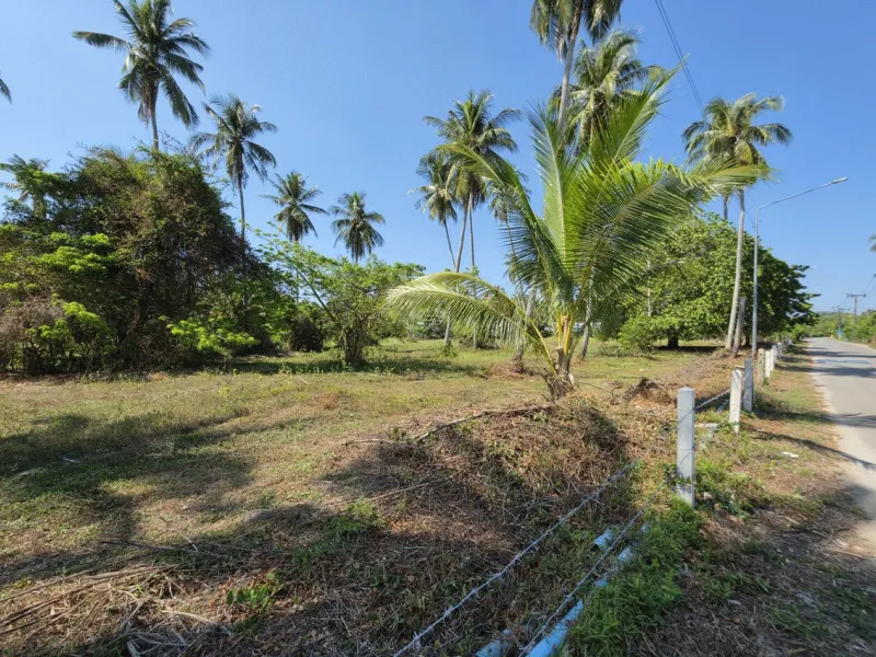 3.6 Rai Land, 100m Walk to Beach, Mai Khao, Freehold - Mai Khao, Phuket - Main photo