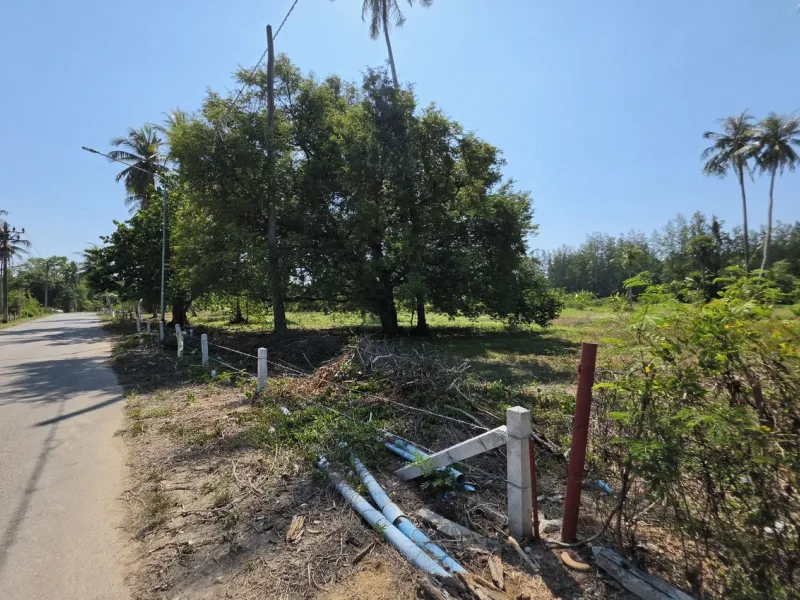 3.6 Rai Land, 100m Walk to Beach, Mai Khao, Freehold - Mai Khao, Phuket - Main photo