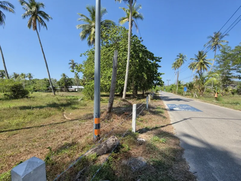 3.6 Rai Land, 100m Walk to Beach, Mai Khao, Freehold - Mai Khao, Phuket - Main photo