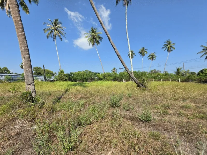 3.6 Rai Land, 100m Walk to Beach, Mai Khao, Freehold - Mai Khao, Phuket - Main photo
