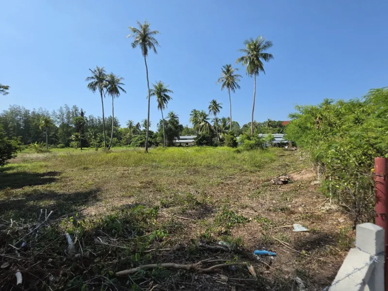 3.6 Rai Land, 100m Walk to Beach, Mai Khao, Freehold - Mai Khao, Phuket - Main photo
