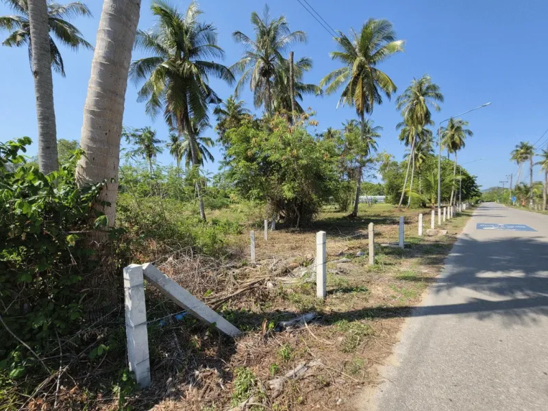 3.6 Rai Land, 100m Walk to Beach, Mai Khao, Freehold - Mai Khao, Phuket - Main photo